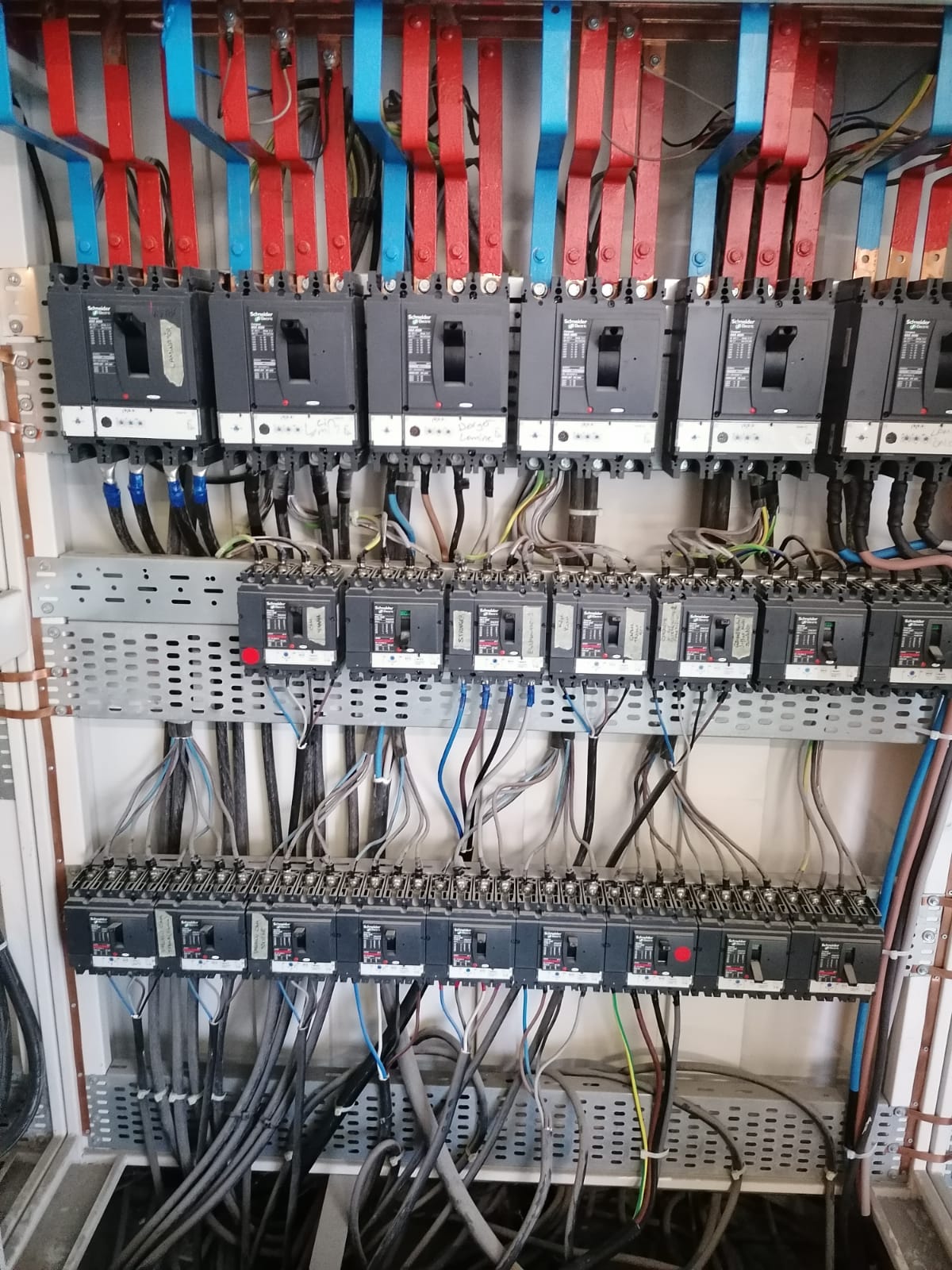 4835a5a2-d999-4dac-8ac5-a284d6e83edb